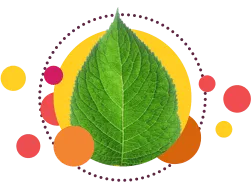 nur aktive Bestandteile von Heilpflanzen